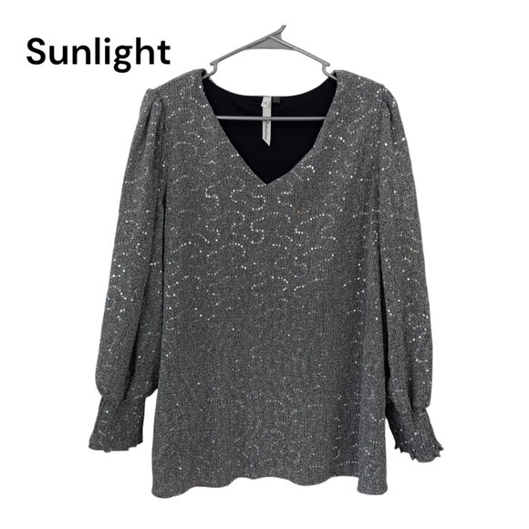 Ny Collections Womens SZ L  Silver Sequin Long Sleeve V-Neck Top - Picture 1 of 13